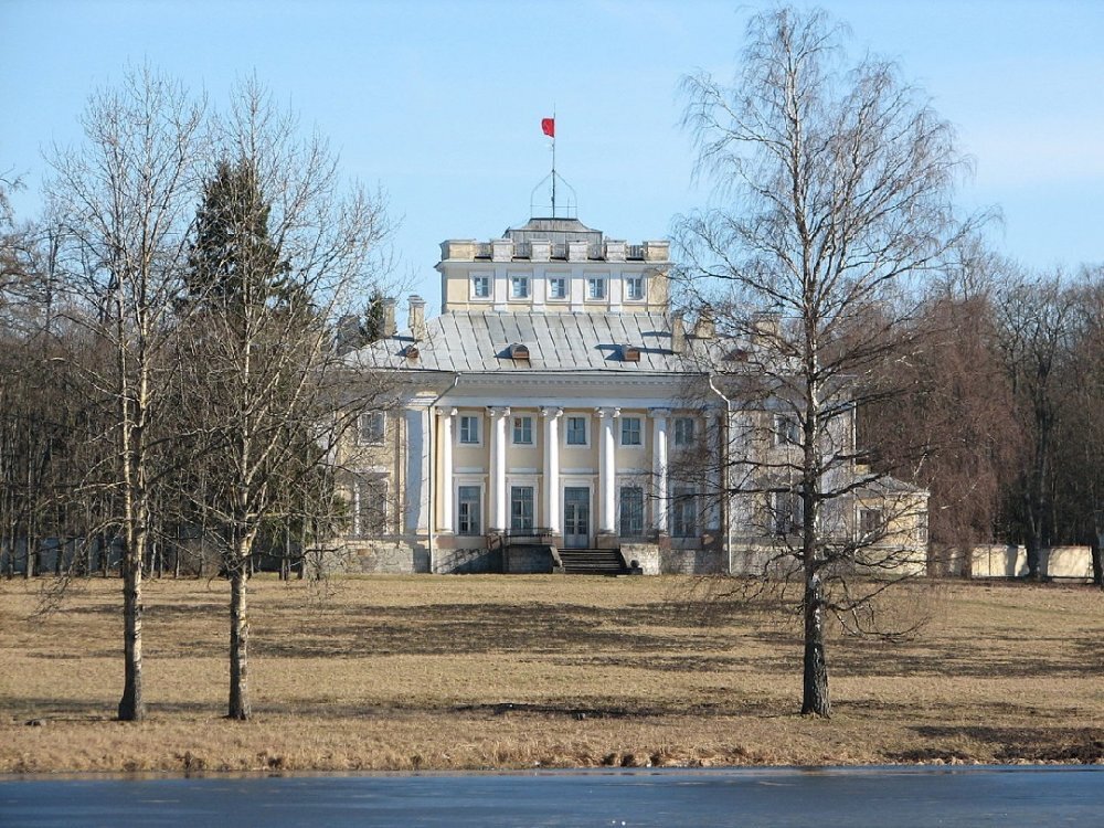 Больница имени П. П. Кащенко. Источник: "Википедия"