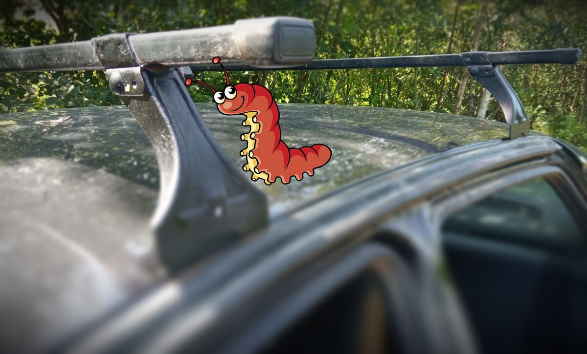 Самый хороший тип багажника, ничем не давит на плоскость крыши.