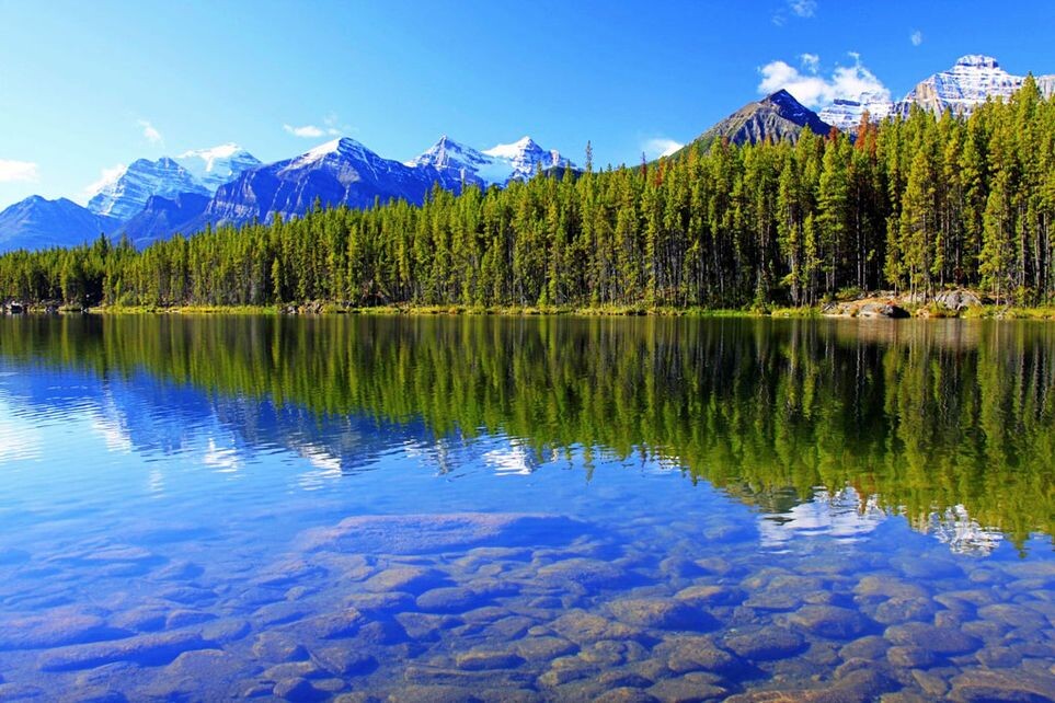 Взято с proprikol.ru