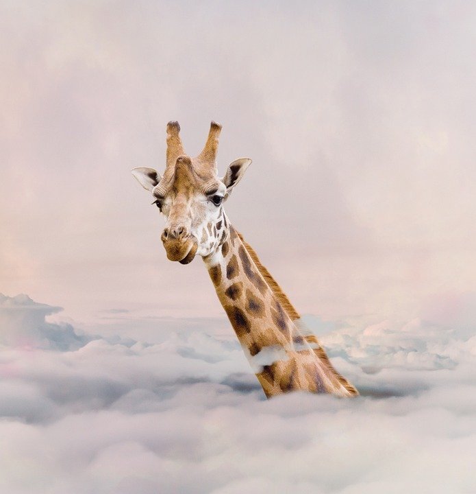 Атлант держал небо на своих плечах. Фото с сайта pixabay.com