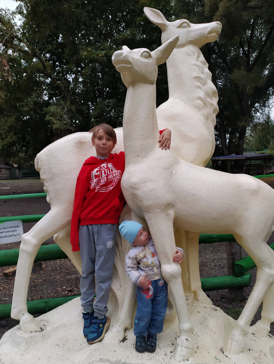 Сыновья автора