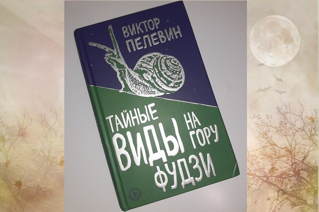 Тайные виды на гору Фудзи - новая книга в моей домашней библиотеке