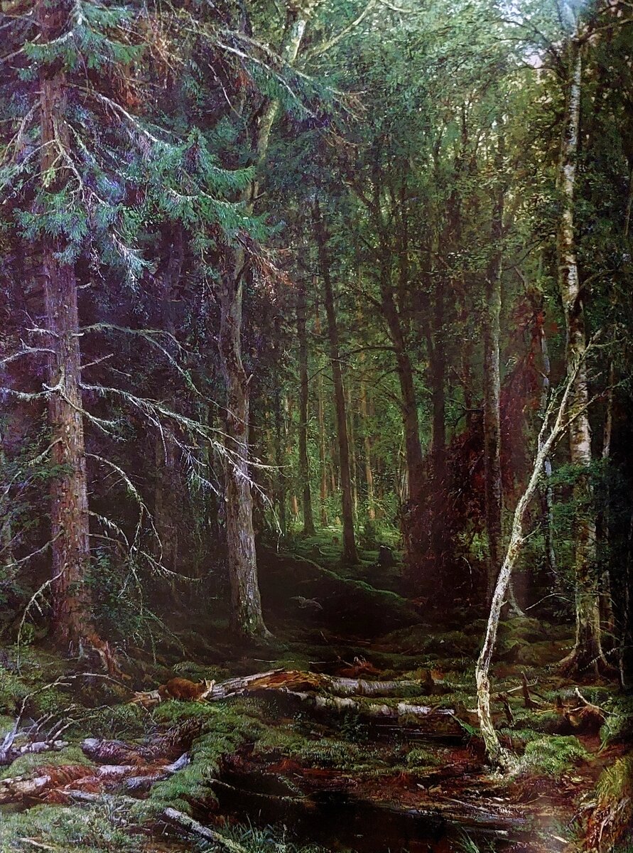 Иван Шишкин. Лесная глушь. 1872. Холст, масло. 209x161см. Государственный Русский музей. Фото мое.