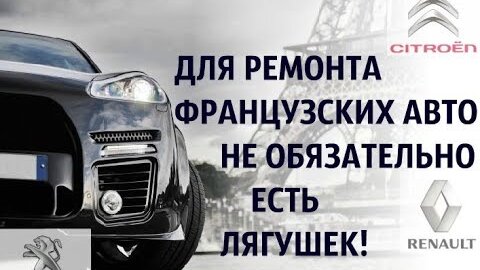 Кухня автоэлектрика Часть 1.Блокиратор руля Рено