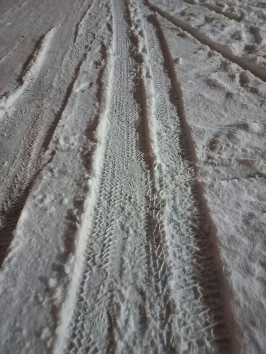 Фото автора.