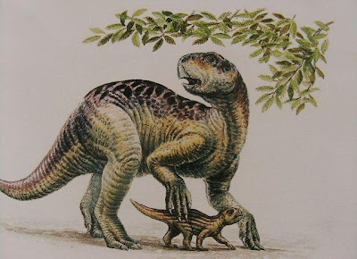 Время обитания. Ранний меловой период.Пситтакозавр- самый древний и самый примитивный
представитель инфраотряда цератопсовые. Этот двуногий травоядный динозавр был
ростом с человека. Науке известно несколько видов, обитавших в Азии. Подобно другиммаргиноцефалам, пситтакозавр имел высокий клюв с режущими краями, как у
попугая. Острые челюсти помогали этому динозавру кормится жесткими волокнистыми
растениями. Голова былакороткой и высокой, глаза и ноздри располагались высоко.   Пситтакозавр
имел длинные задние конечности. Короткие и сильные передние конечности,
снабженные тупыми когтями, были приспособлены для захватывания листьев.
Равновесие во время бега и ходьбы ящер удерживал с помощью хвоста.Пситтакозавр           «Ящер-попугай».Отряд. Птицетазовые.Подотряд. Маргиноцефалы.Инфраотряд.  Цератопсовые.Семейство. Пситтакозавриды.Длина.  2 метра.Пища.  Растения.Место обитания. Китай, Монголия, Россия.