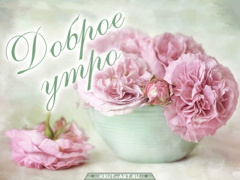 Нежная картинка с цветами в пастельных тонах, пожелание приятного доброго утра, бесплатная картинка на каждый день.