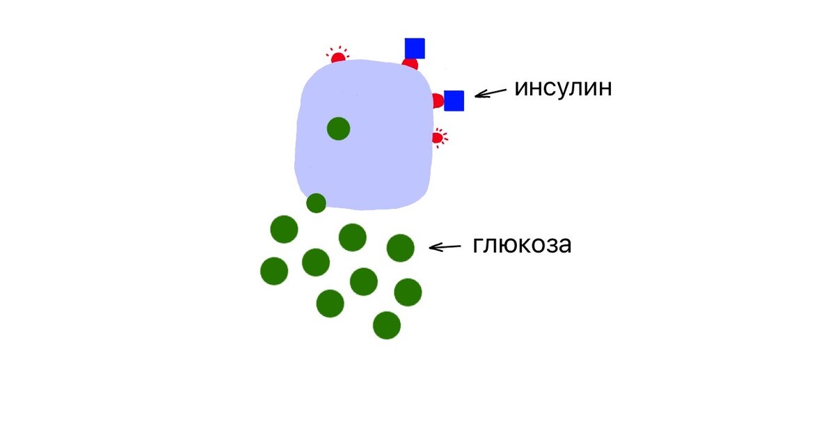 Как и почему развивается сахарный диабет 2 типа. | Доктор Ольга ...