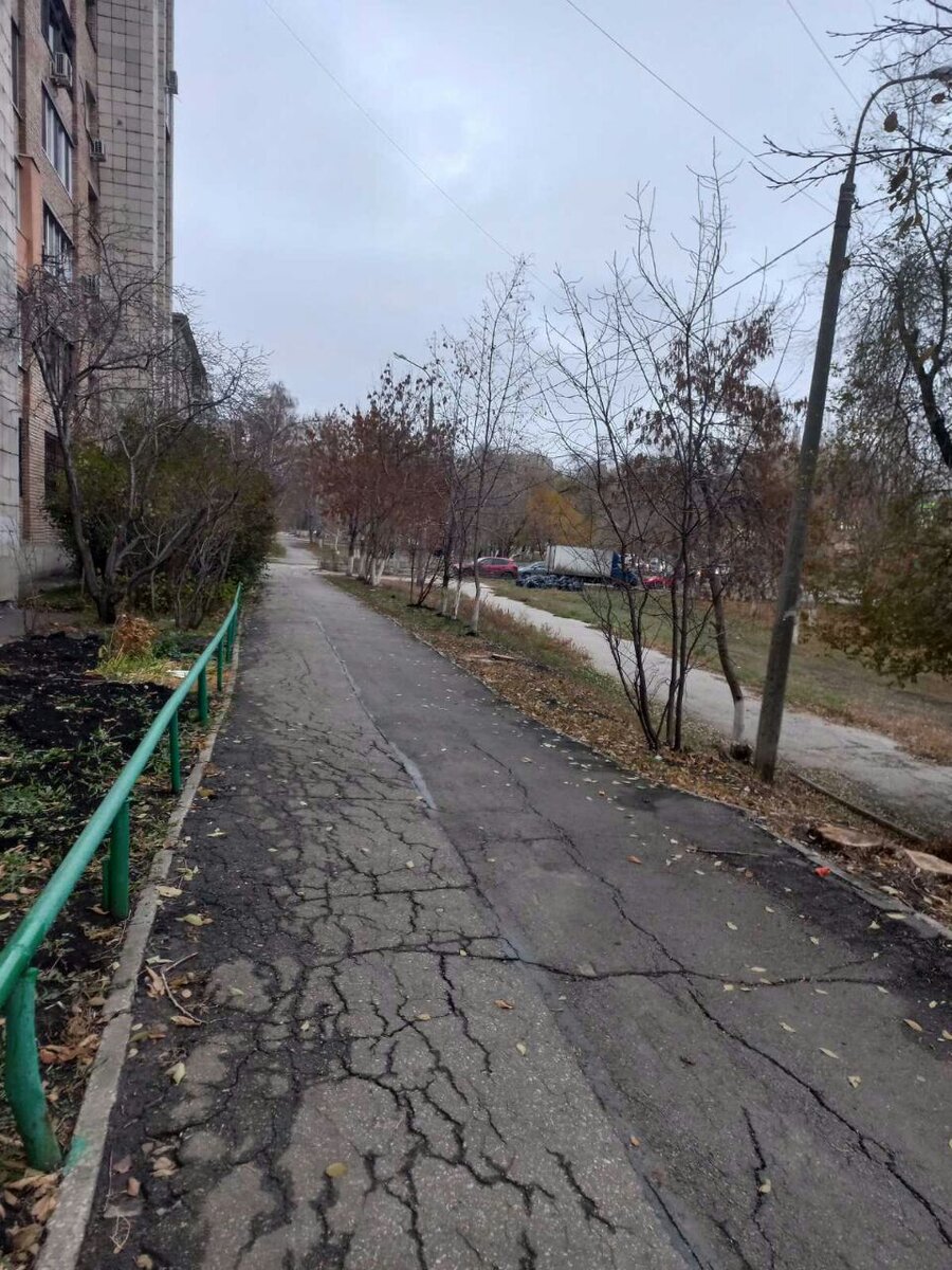 Фото автора.