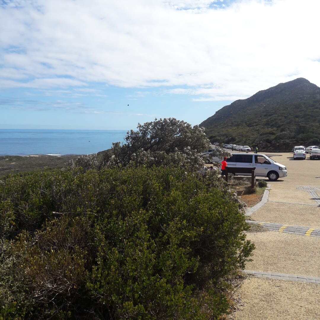 Машины и автобусы ждут туристов между двух мысов - Cape Point  и Cape of Good Hope.