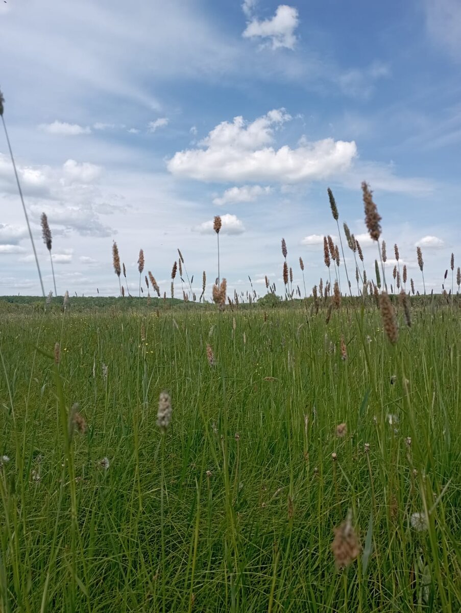 Фото Андреевой