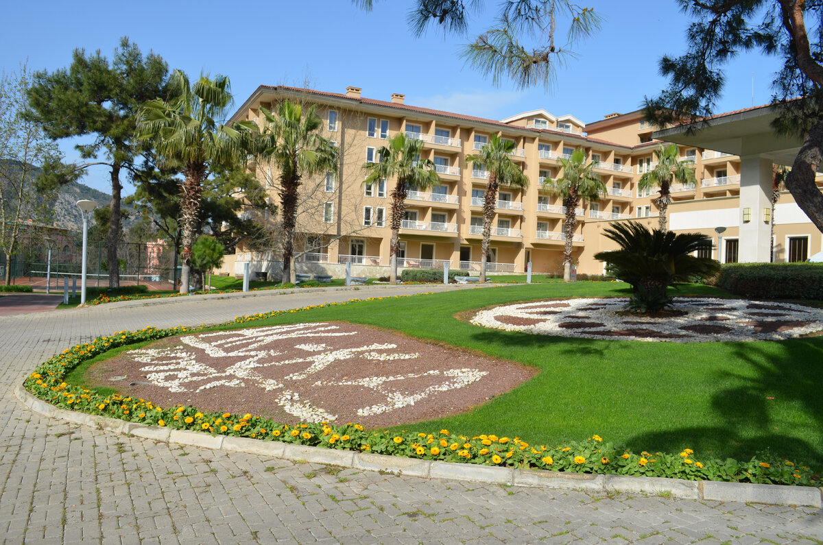 Подъездная дорожка к отелю... Фото автора