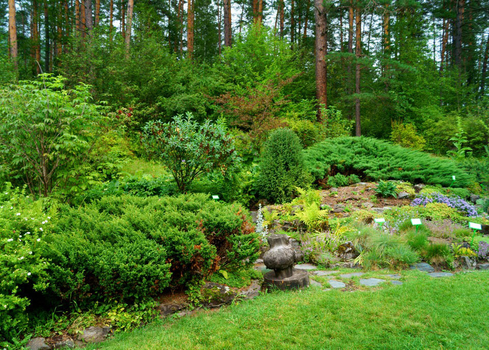 Горно-Алтайский ботанический сад расположен в урочище Чистый Луг