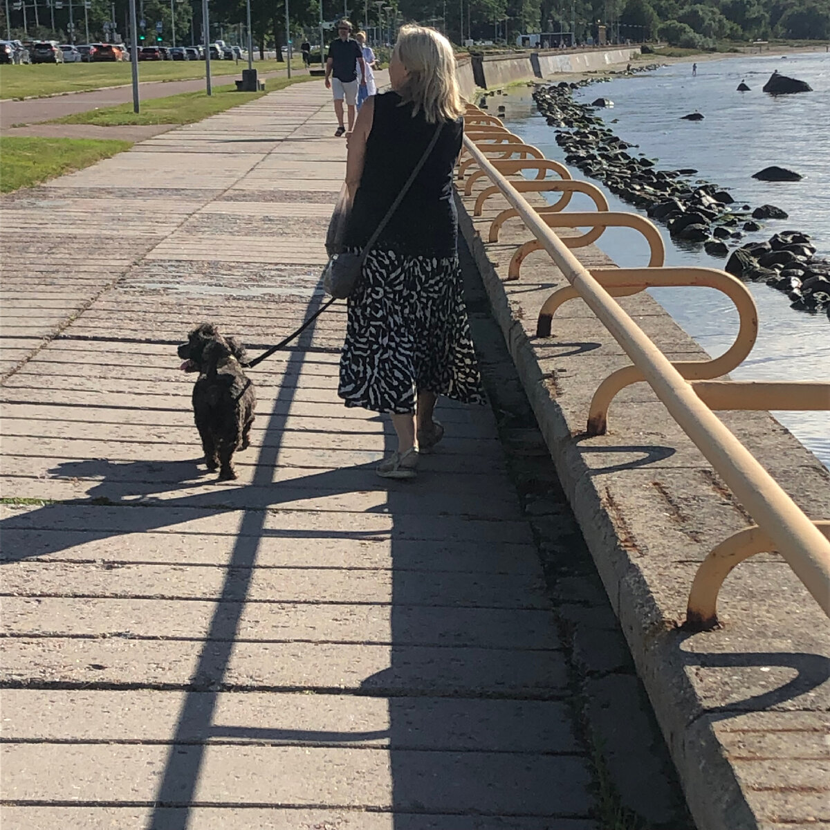 Фото автора. На прогулке с собакой. 