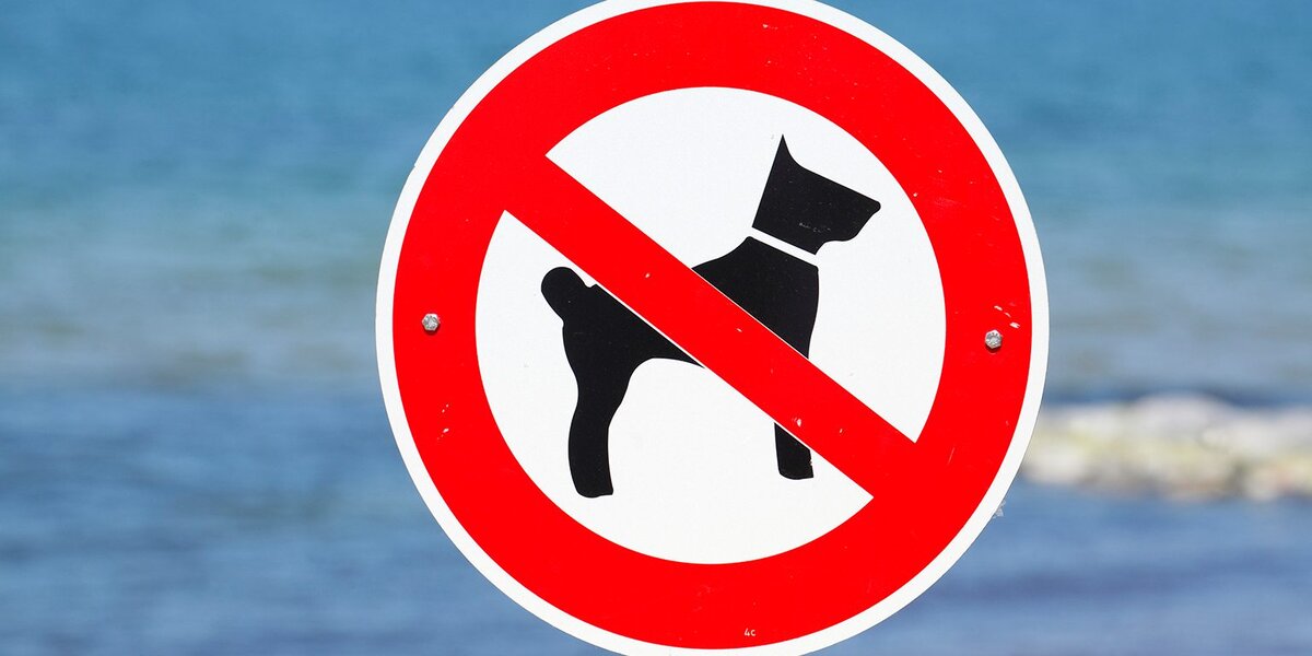 яндекс.картинки