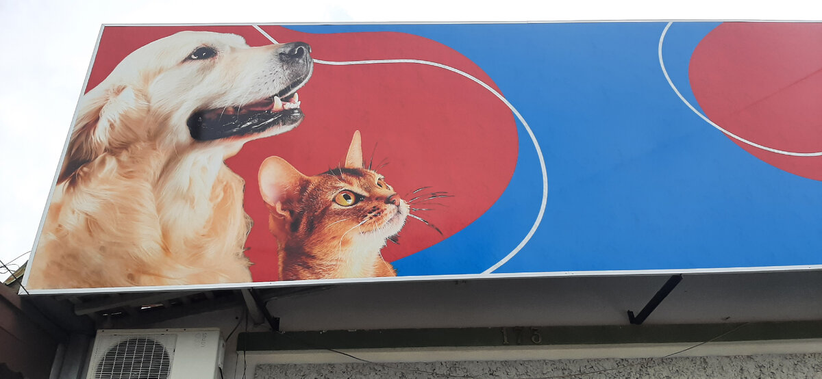 Картинка над ветклиникой.