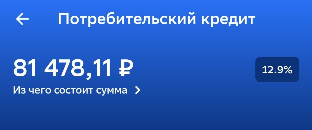 Теперь мой долг выглядит так.