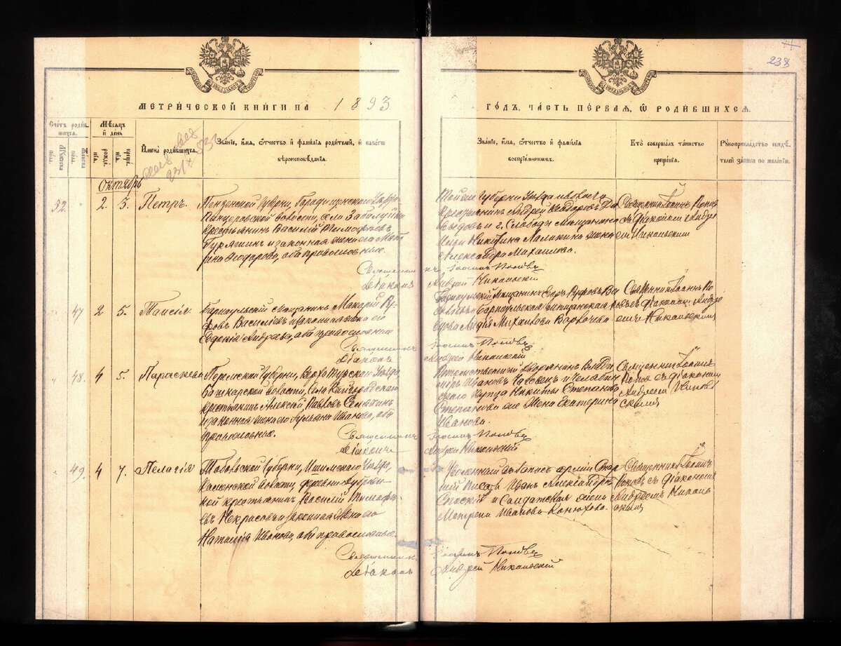 Метрическая книга за 1893 (октябрь) из архива Барнаула. Вдруг и вам пригодится расшифровка: родился Петр Васильевич Гуряшин, родилась Таисия Макаровна Васильевна, Параскева Алексеевна Селяхина, Пелагея Васильевна Некрасова