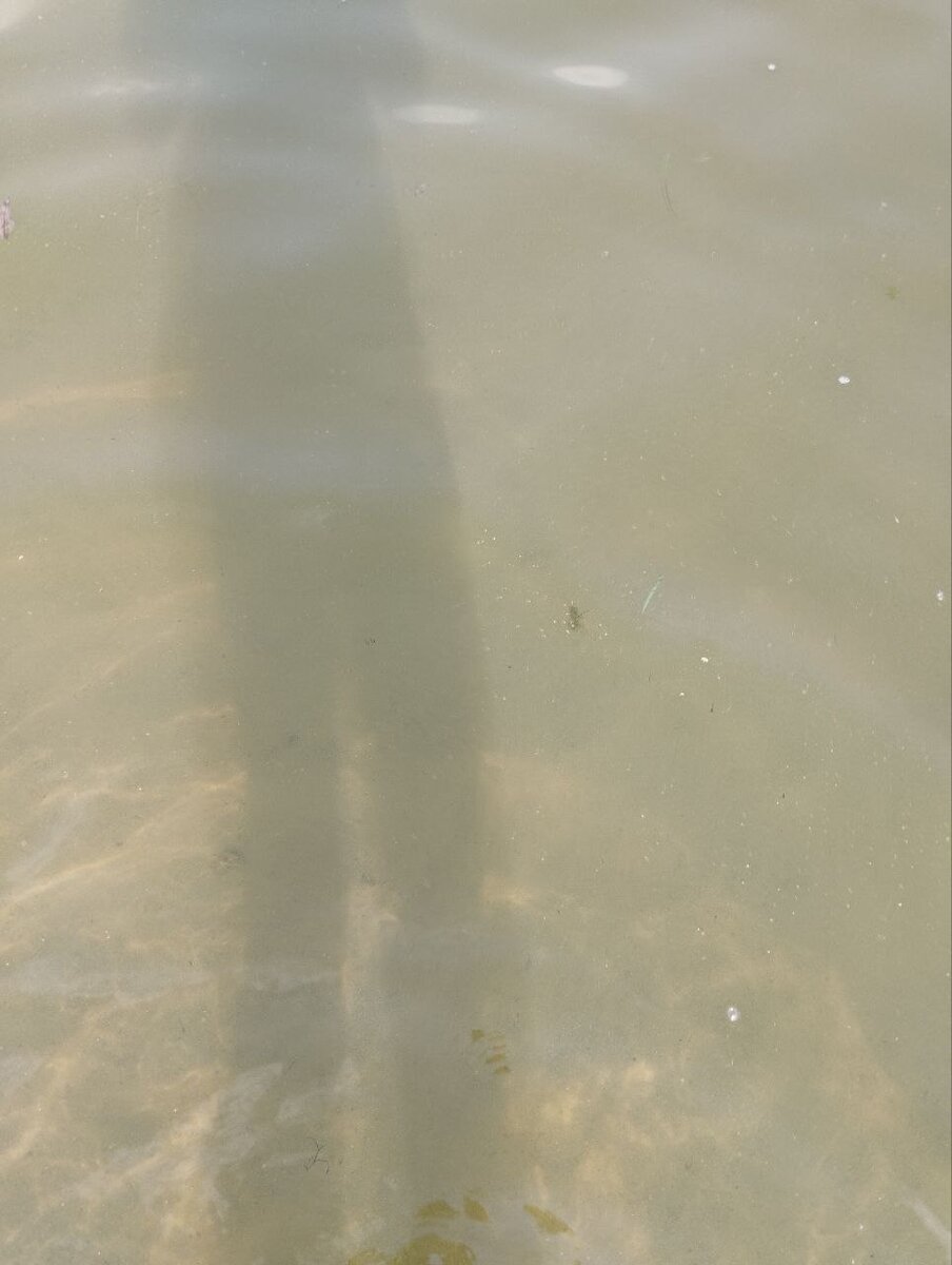 Вода прозрачная у берега, прохладненькая!