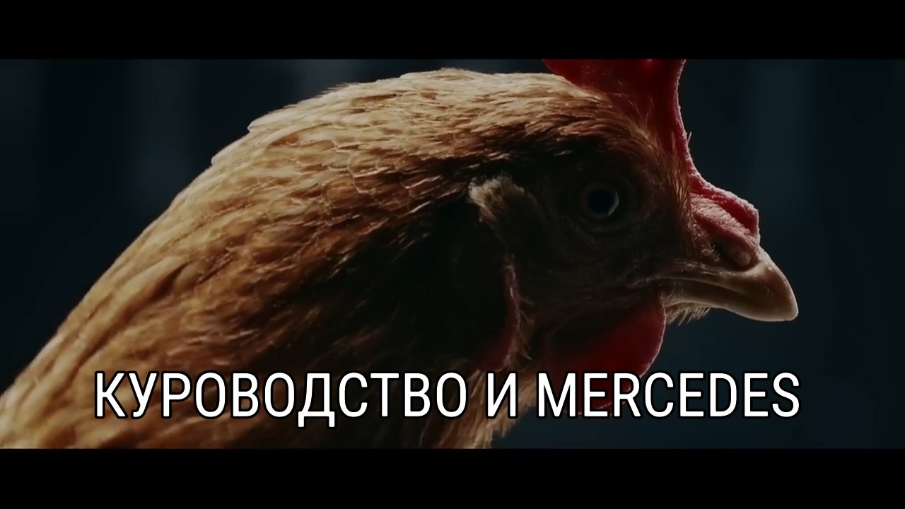 Реклама мерседес с курицей