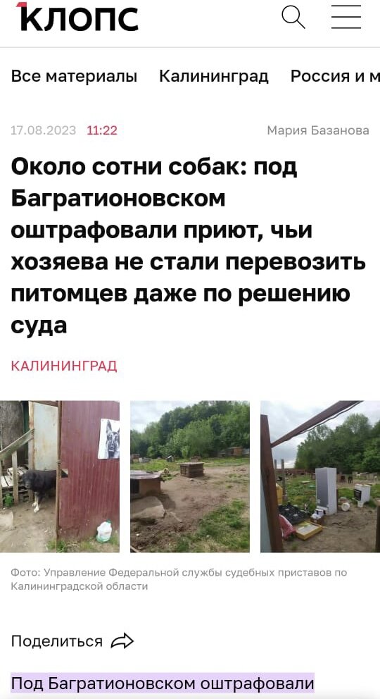 Скриншот с сайта «Клопс.ру»