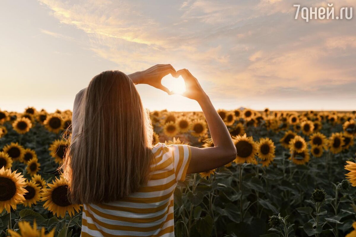    солнце в руках freepik.com