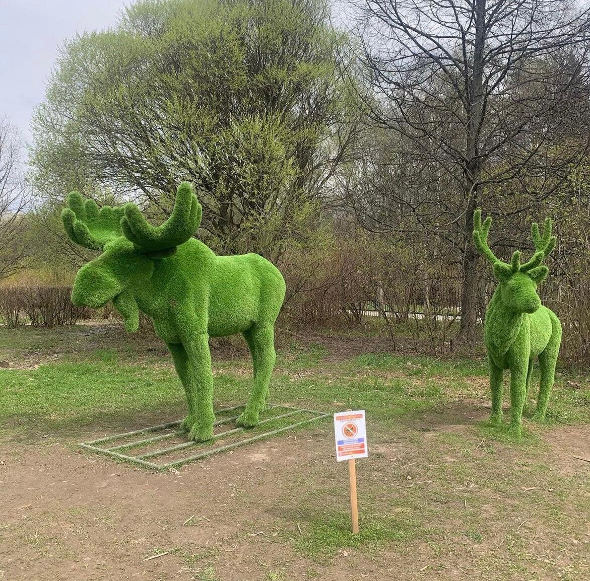 Топиарий в Бирюлевском дендропарке © "Покажу Москву"