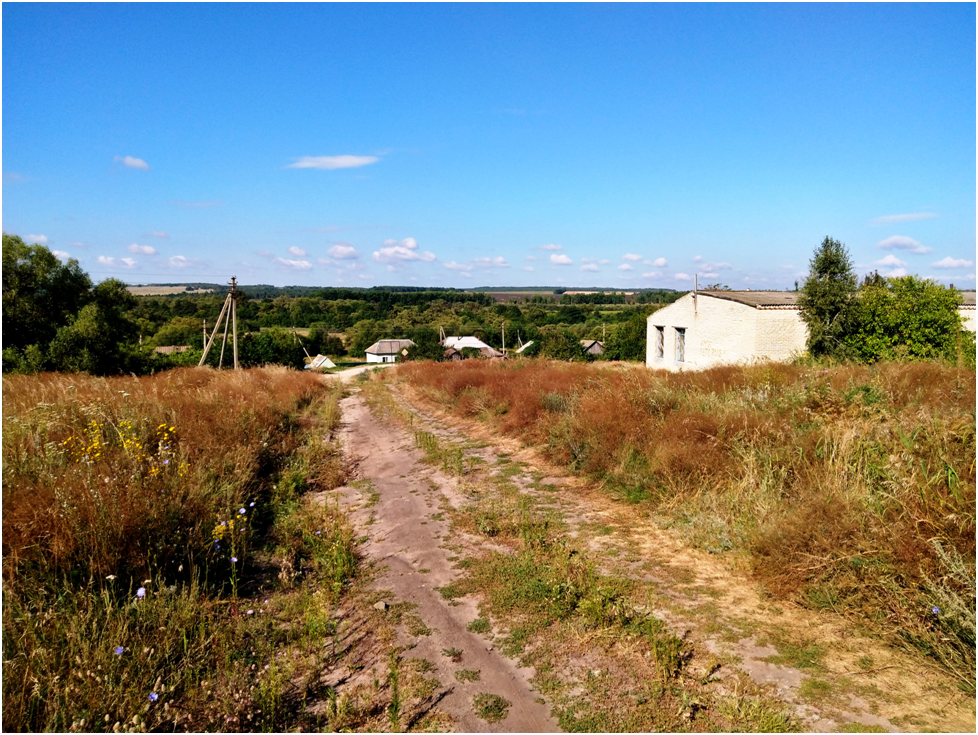 Село Николаевка Саратовская область. Село Николаевка Новомосковский район Днепропетровская область. Село Николаевка Пензенская область Родина Загоскина. Село Генеральщино Лопатинский район Пензенская область.