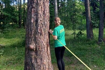    Школьники в лесу © Пресс-служба Комитета лесного хозяйства Московской области