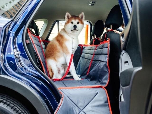 Отличные варианты принадлежностей для перемещения