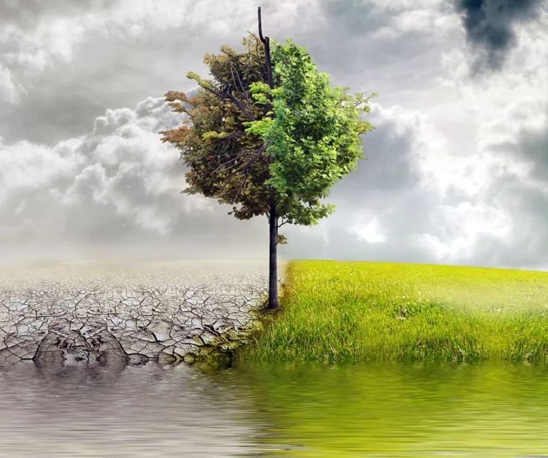 Изображение из открытых источников, носит иллюстративный характер.