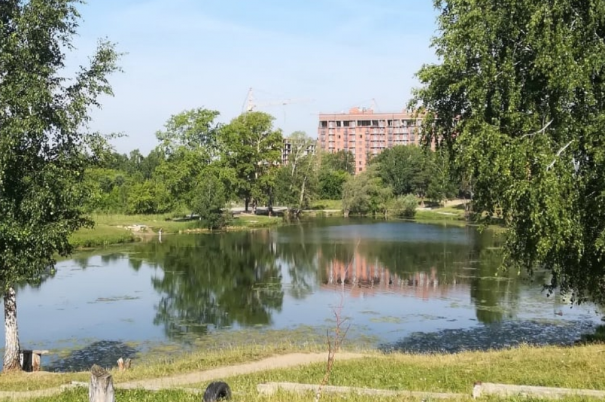    Бастрыкин потребовал возбудить дело о загрязнении озера в Новосибирске