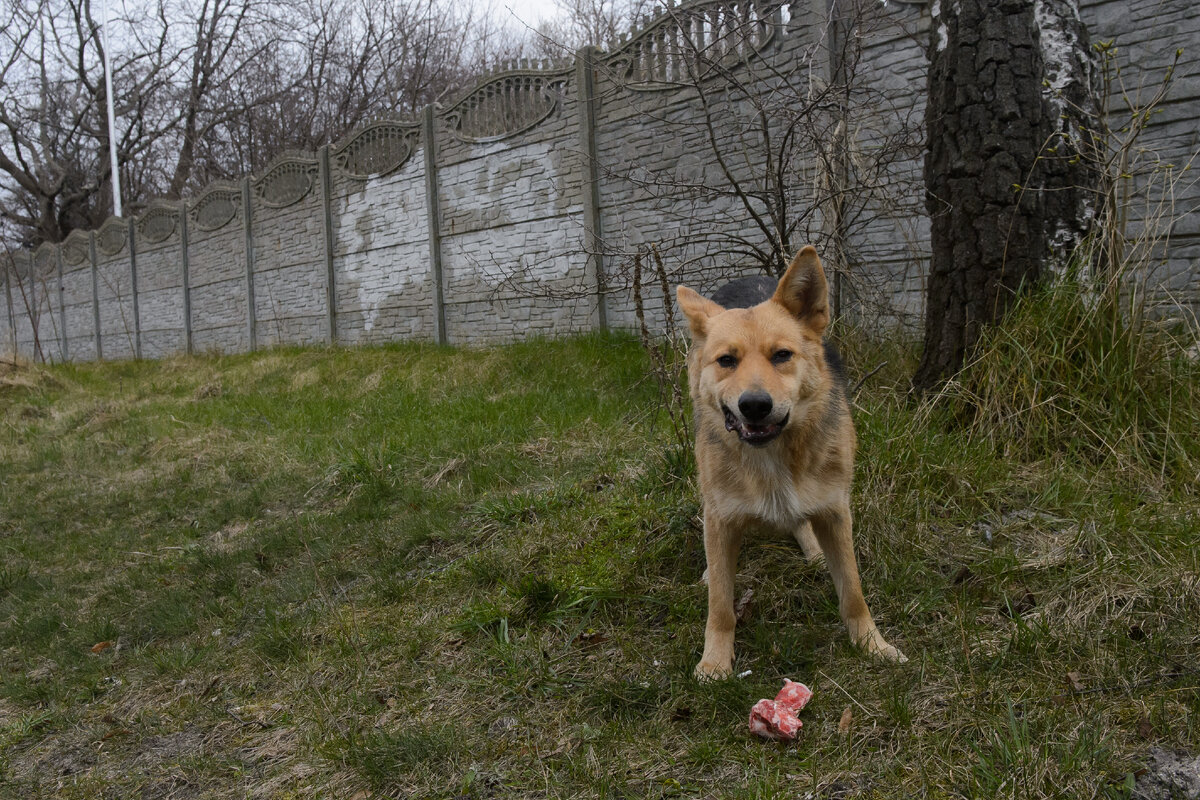 Фото: Дмитрий Часовитин/Globallookpress