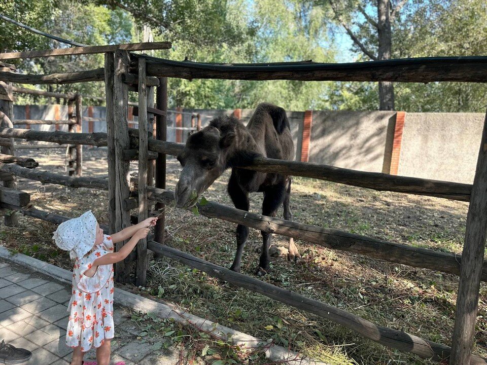    Мариупольский зоопарк сегодня Елена Лебедева