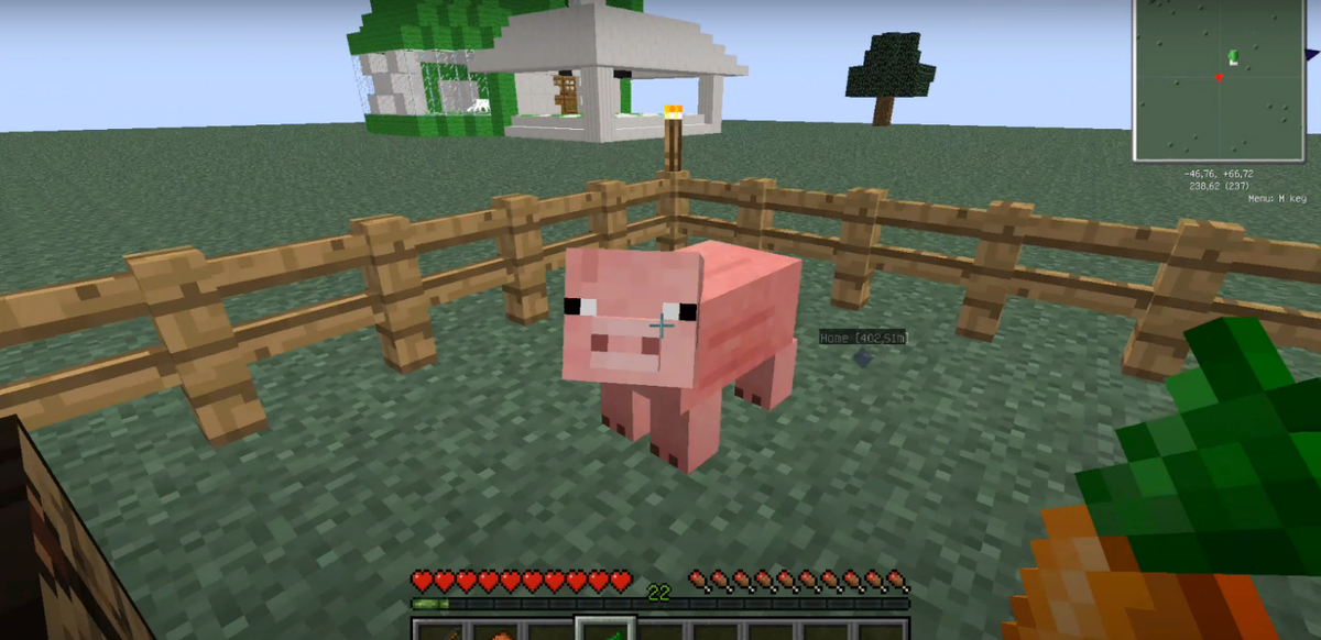 кормление свинки