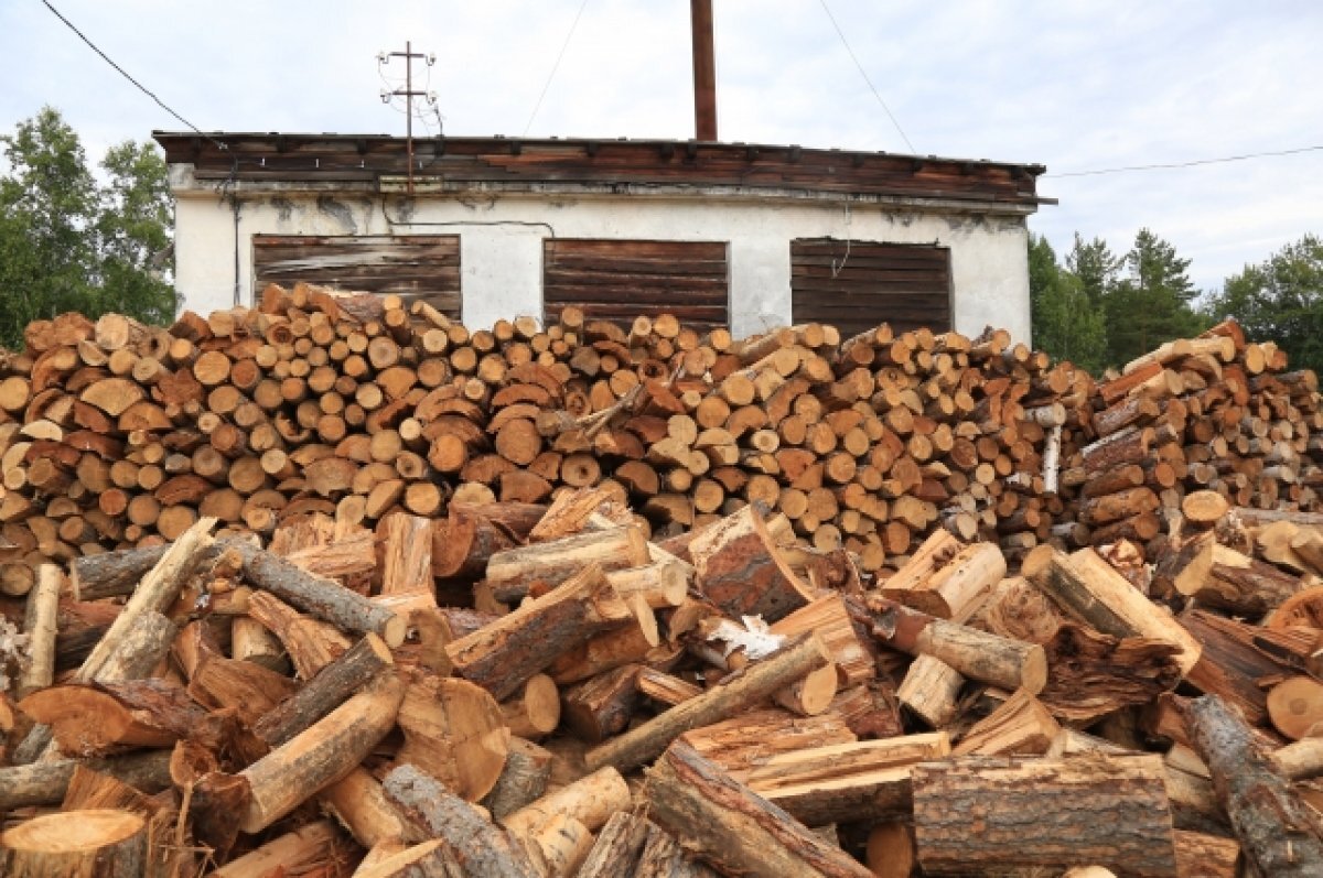    КМНС на Камчатке получат право на бесплатную заготовку древесины