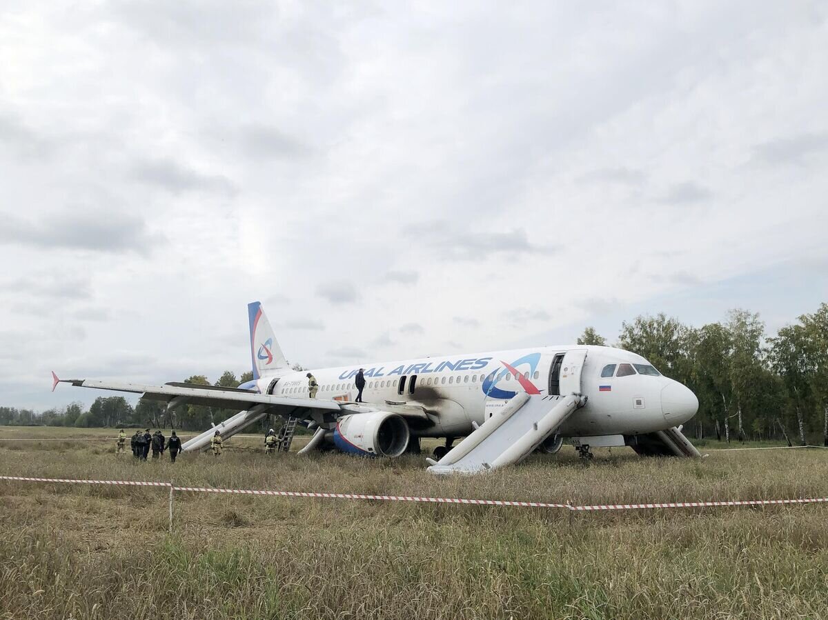    Самолет авиакомпании "Уральские авиалинии", совершивший аварийную посадку на грунт в Новосибирской области© РИА Новости / Владимир Николаев