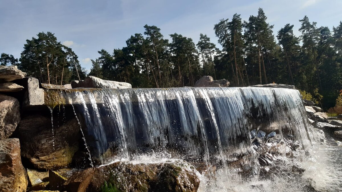 Парк Малевича – новая "обустроенная" часть Ромашковского леса на Рублёвке.