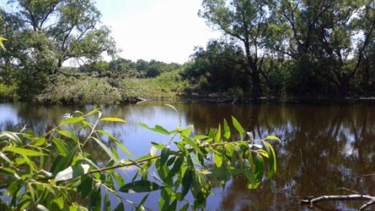    Глэмпинги на 100 млн рублей построят в Саратовской области за два годаНовости Саратова и области – Сетевое издание «Репортер64»