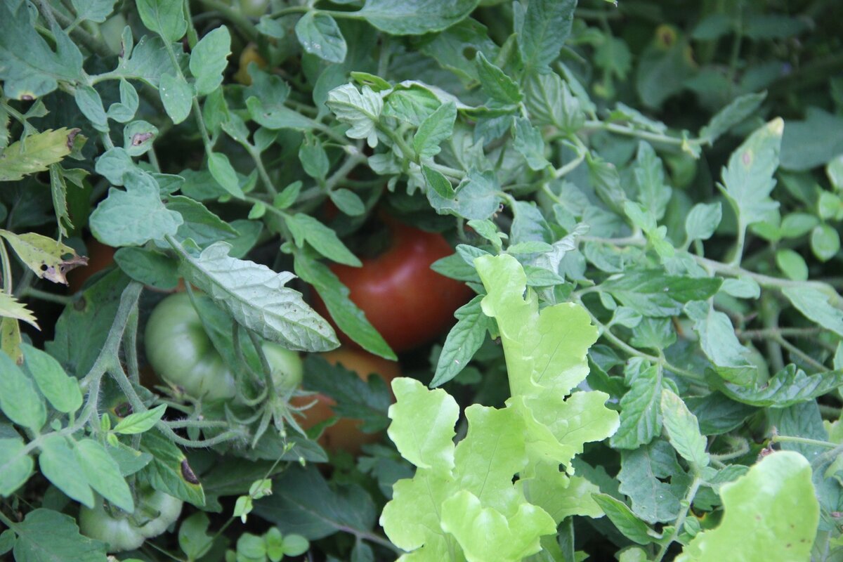 Все фото в материале авторские