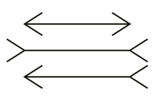 Иллюзия Мюллера-Лайера