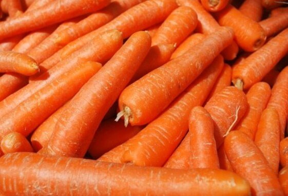 Как вырастить хороший и качественный урожай моркови