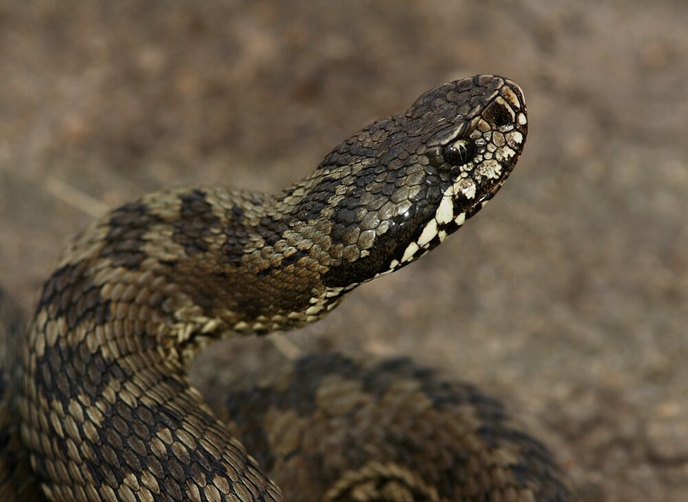 Фото с сайта ecopartner-str.ru