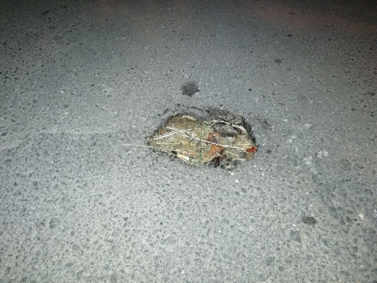 Та самая выбоина в асфальте. Фото Света Давыдова