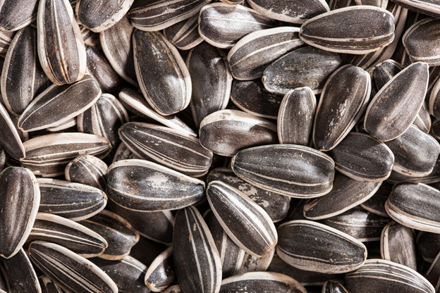 фото из интернета