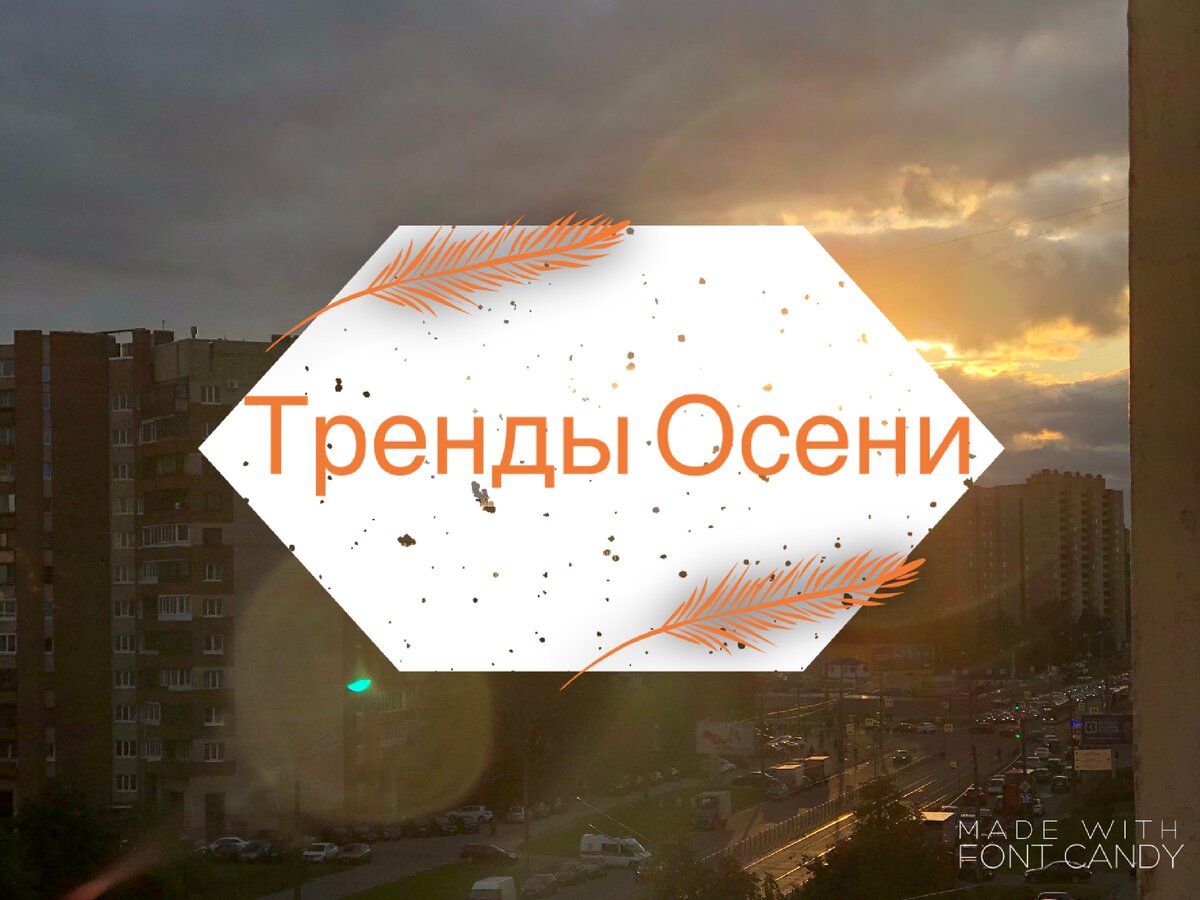 Тренды осени 2019-2019