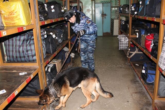 Следственно оперативные мероприятия. Оперативный досмотр орм. Распоряжение о проведении оперативно-розыскного мероприятия. Оперативно-розыскные мероприятия обследование помещений. Проверочная закупка оперативно-розыскное мероприятие.