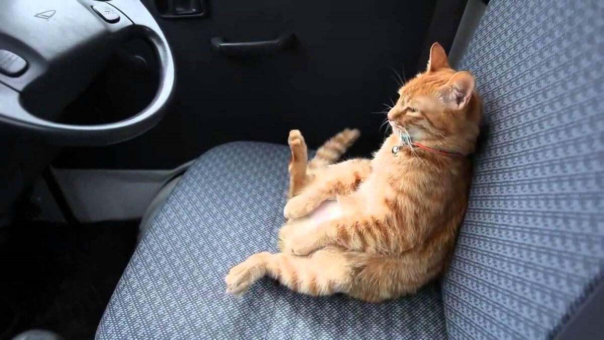 Из открытых источников.