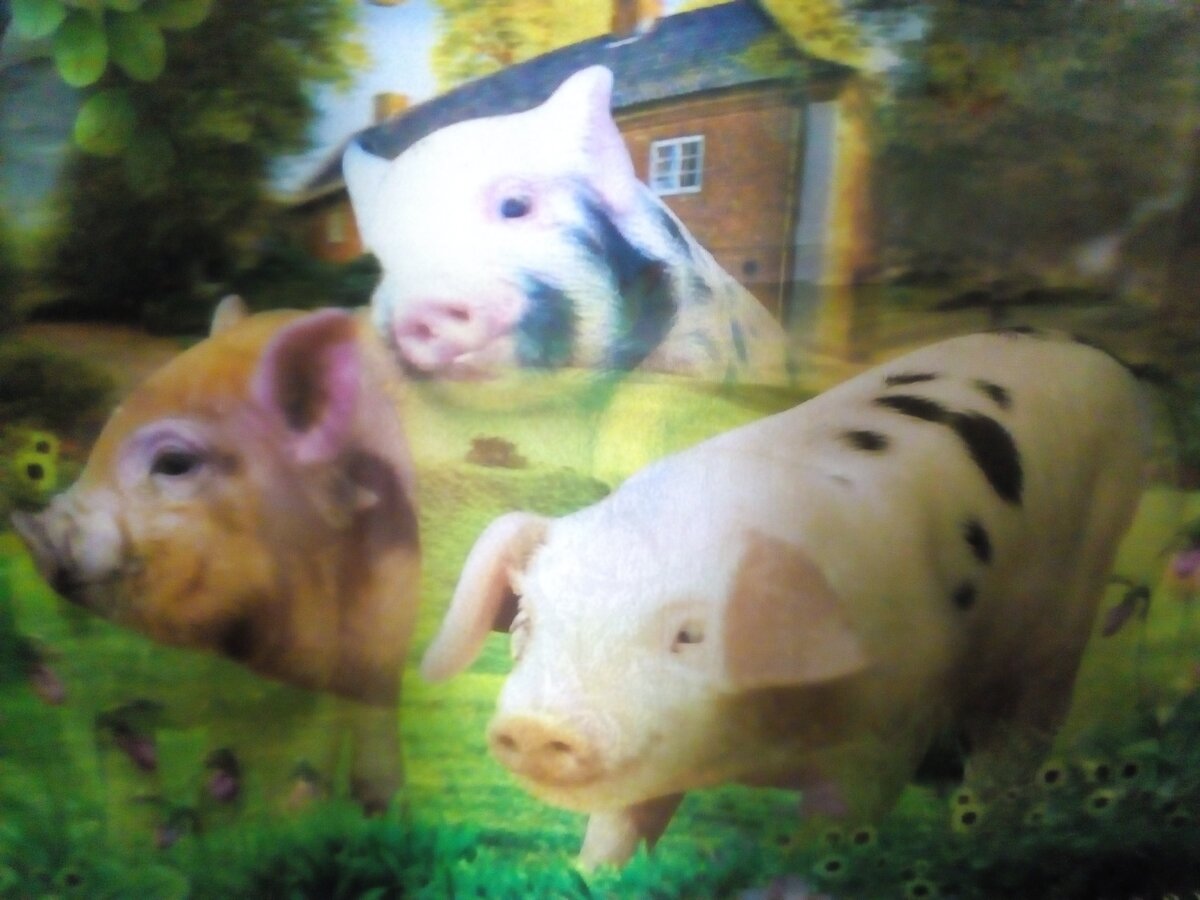 Фото с календаря