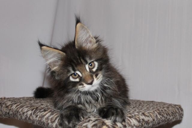 Тут мне 2 месяца.